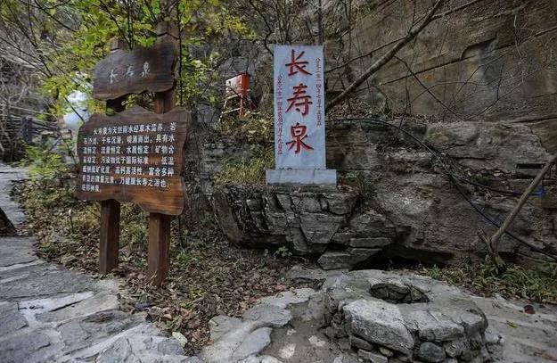 澳門一肖一碼100%精准王中王,警惕虚假宣传、全面解答、构建解答解释落实